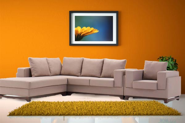 Buy Sofa Online in India