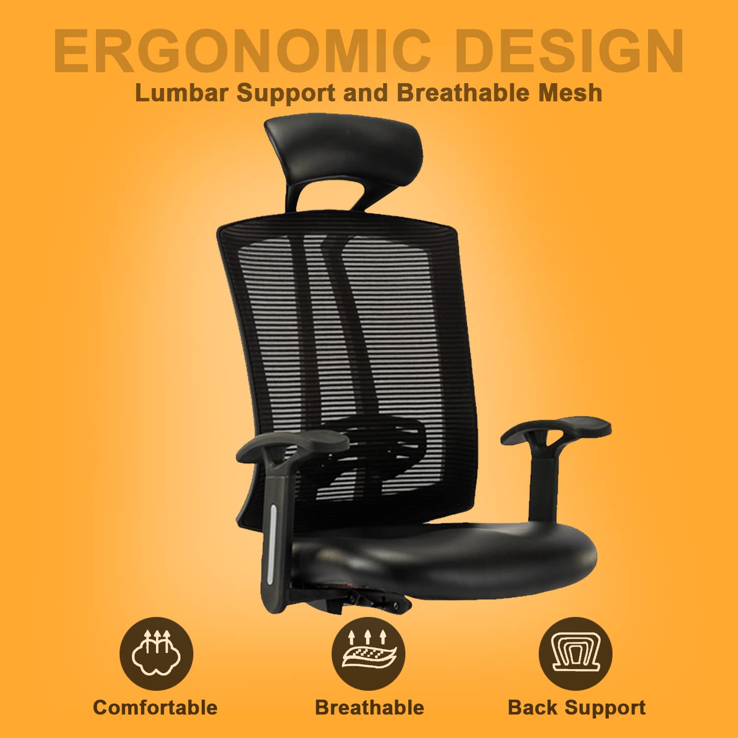 F509 Chair With Back Support - HOF