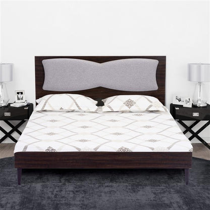 HOF Queen Size Engineered Wood Bed Without Storage |Matte Finish|Choco Walnut Color