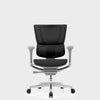 Ventis Adjustable Lumbar Support Chair - HOF