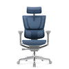 HOF Ventis High back Ergonomic Chair with Tension Adjustable Lumbar Support & Seat Sliding Mechanism