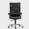 Luxurious Leatherite Chair - HOF