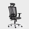Chair Adjustable Arms - HOF