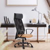 HOF F511 Ergonomic High Back Mesh Office Chair
