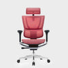 HOF Ventis High back Ergonomic Chair with Tension Adjustable Lumbar Support & Seat Sliding Mechanism