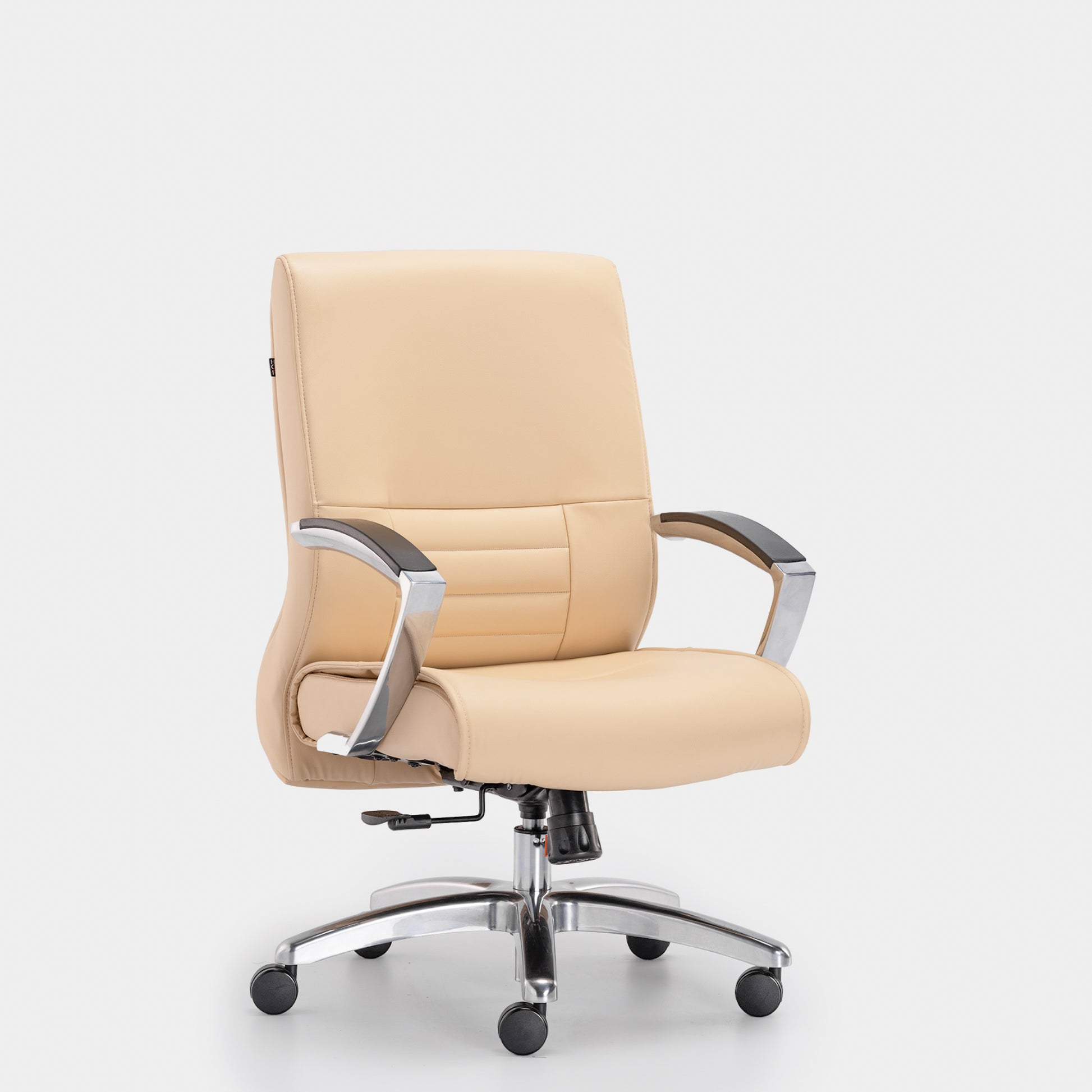 Zeba Luxurious Contrast Chair - HOF